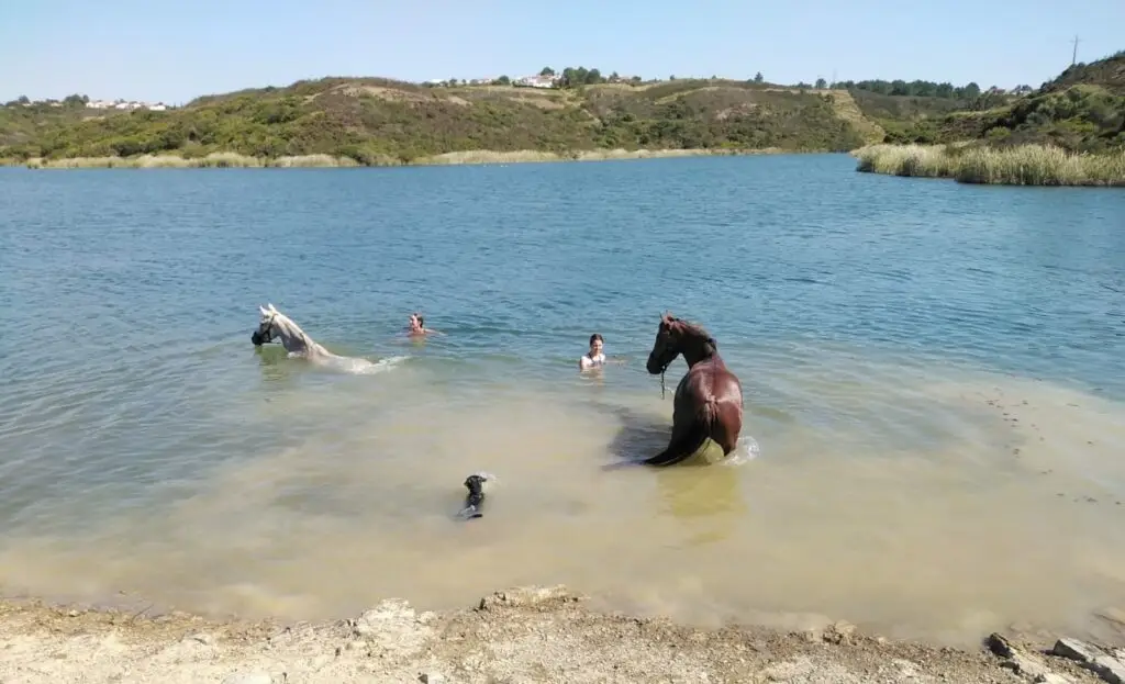 Férias de equitação em Portugal