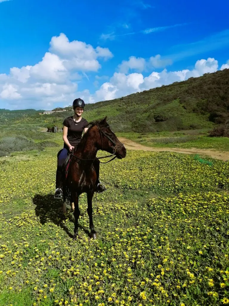 Horseback Riding Tours