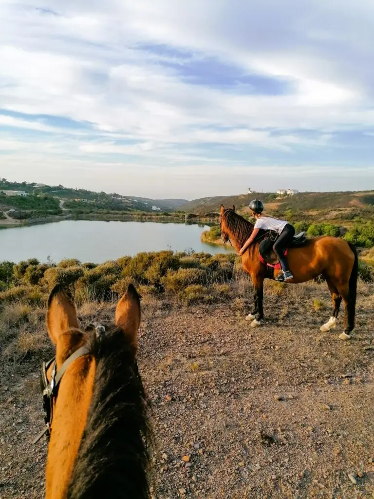 Férias de equitação em Portugal